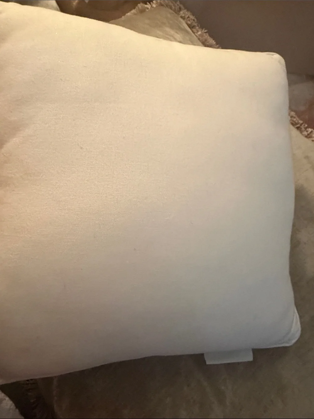 Pottery Barn Starfish Embroidered Throw Pillow - Cream and Tan